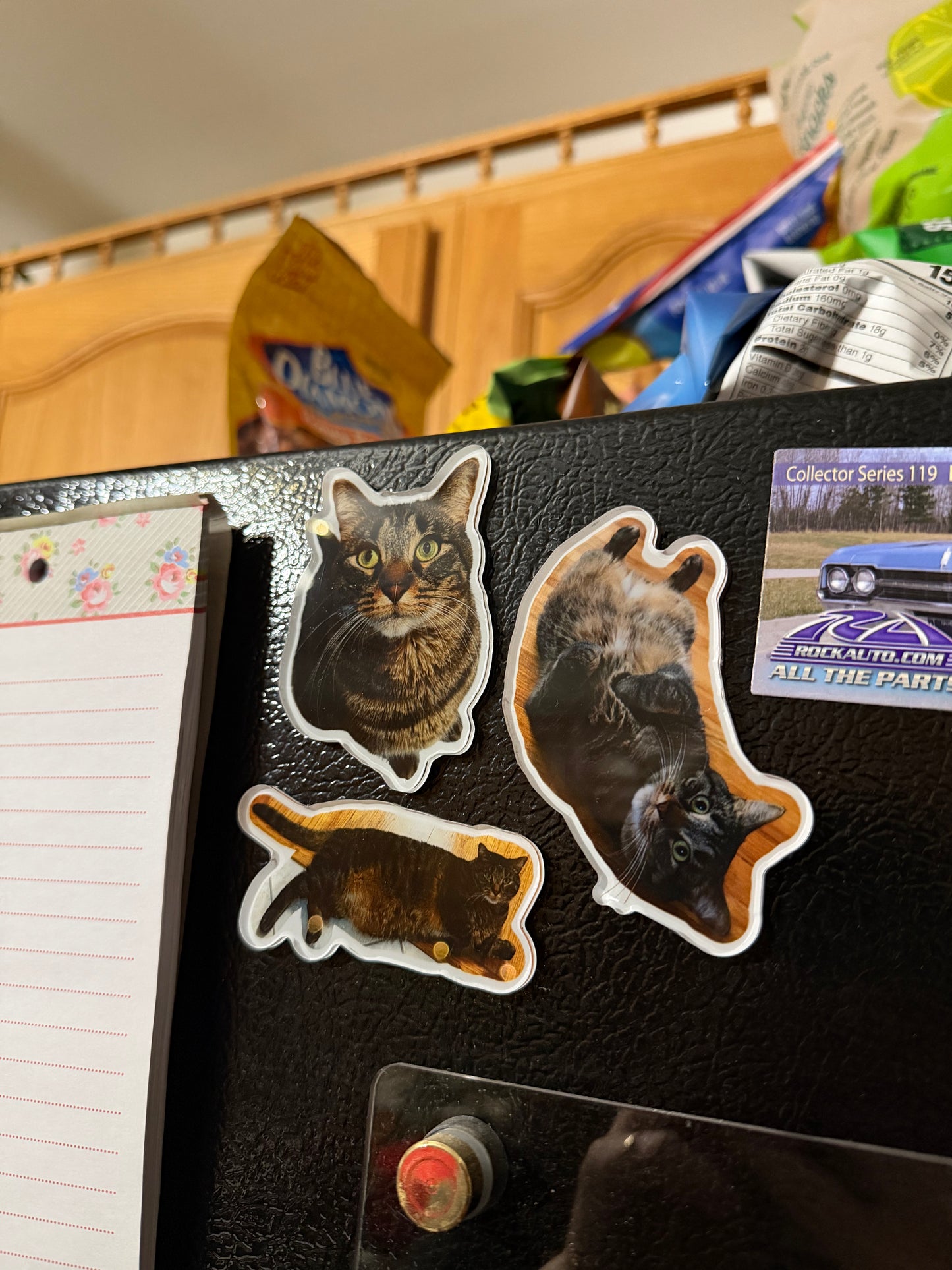 PrizzaHaru Magnets (3pc)