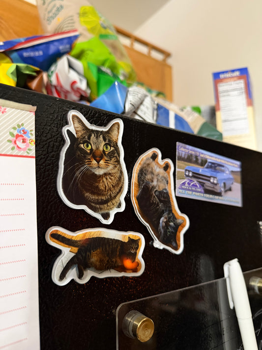 PrizzaHaru Magnets (3pc)