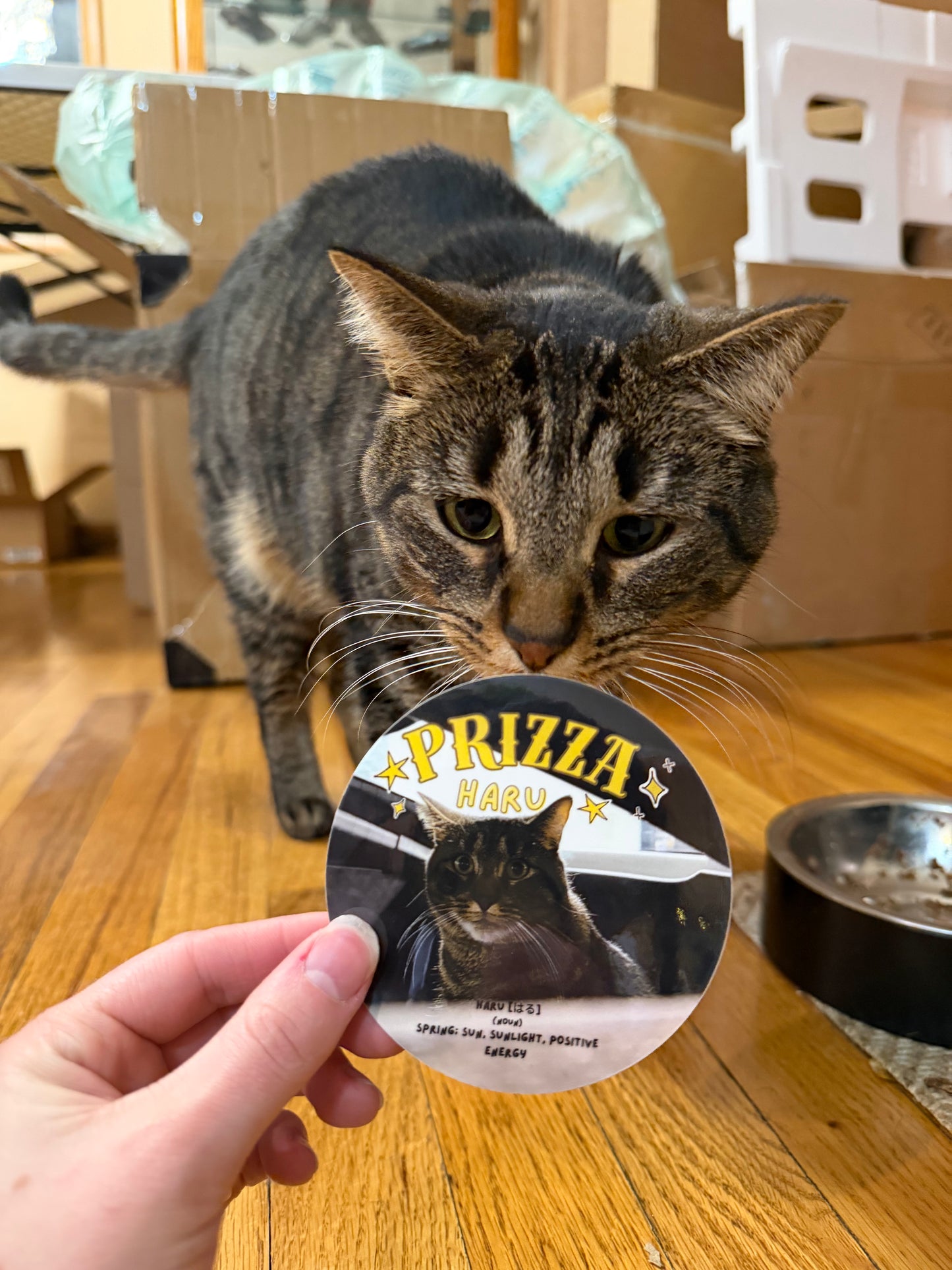 PrizzaHaru Sun Sticker