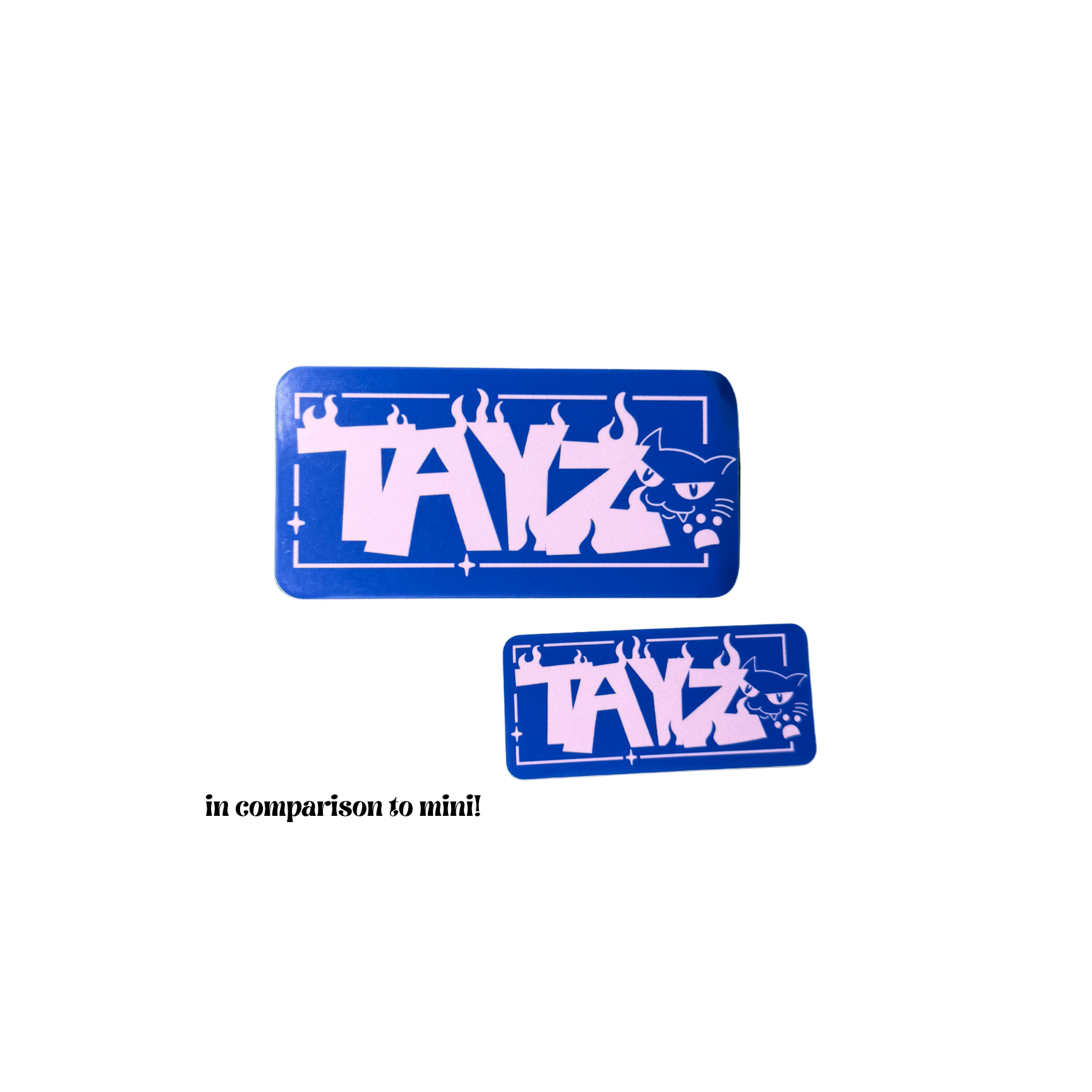 TAYZ Large Stickers