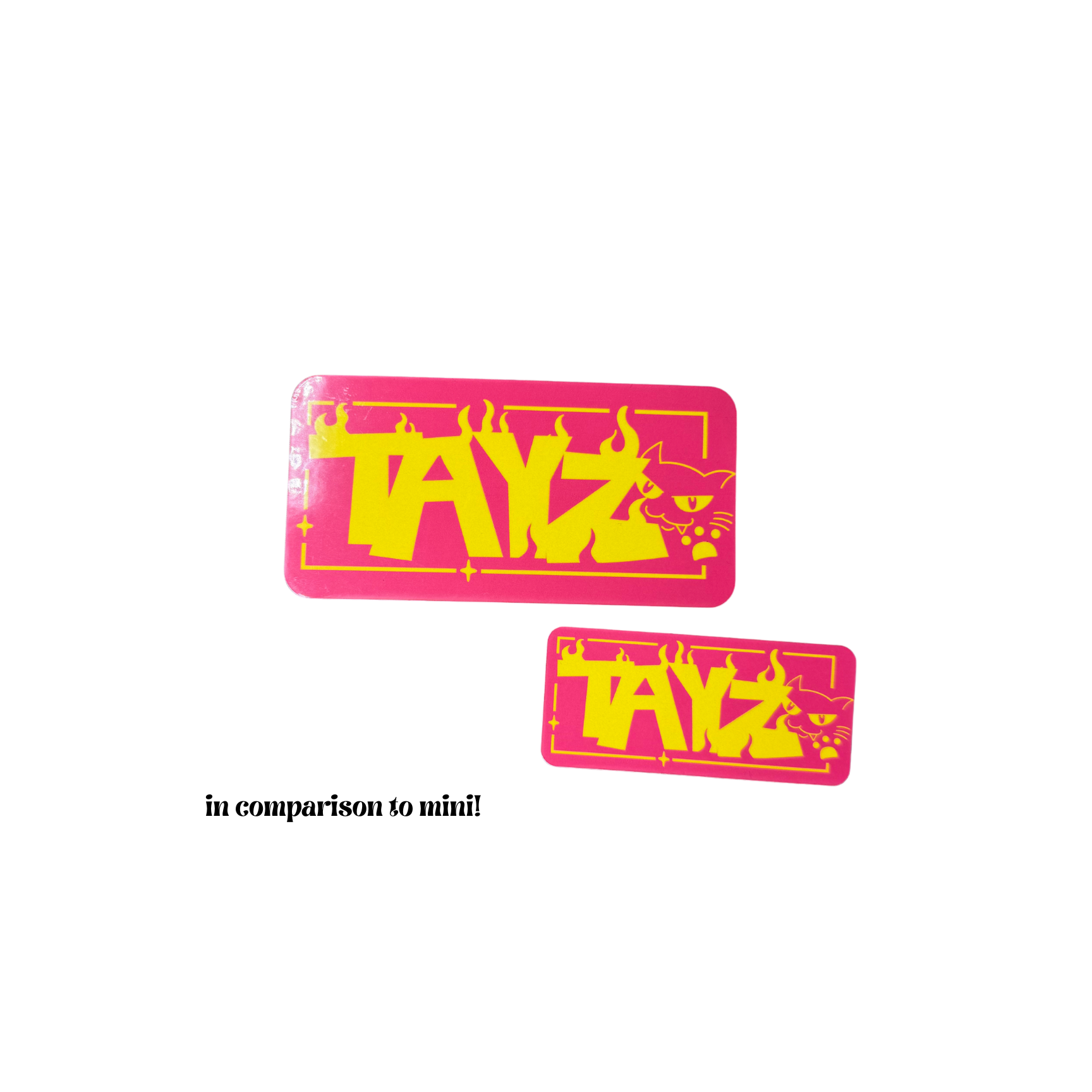 TAYZ Large Stickers